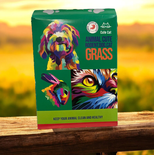Pet grass seeds for cats, dogs and bird