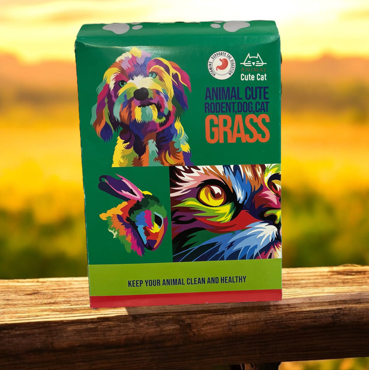 Pet grass seeds for cats, dogs and bird