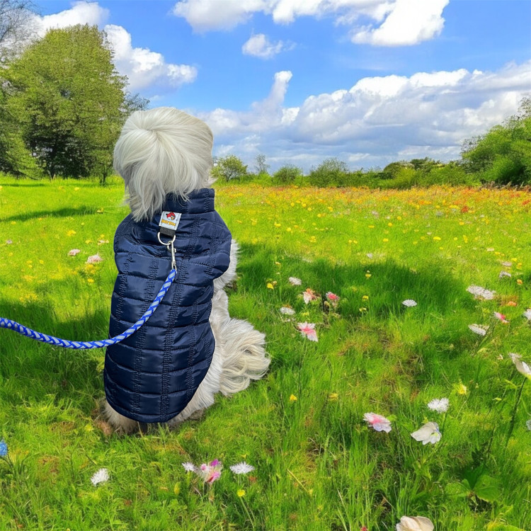 Waterproof Lined Dog Puffer Jacket