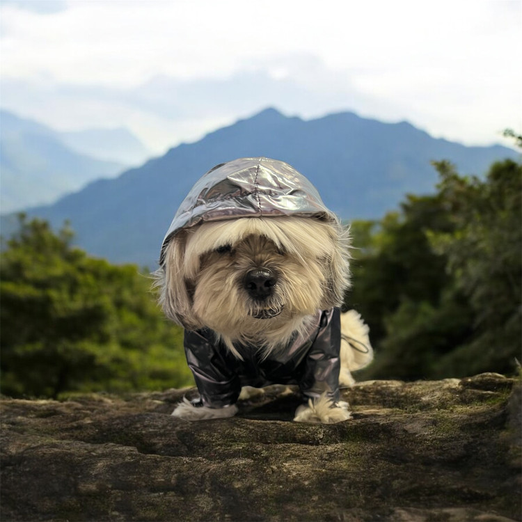 Lightweight Waterproof Dog Raincoat