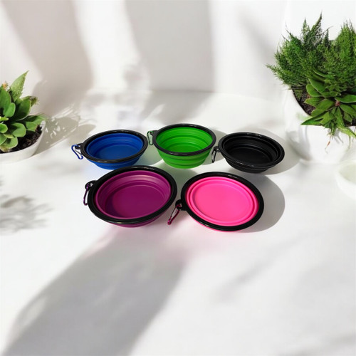 Collapsible Silicone Travel Bowl for Pets