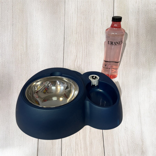Double Pet Feeder with Water Dispenser and Stainless Steel Bowls