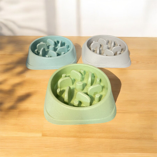 Slow Feeder Bowl for Dogs