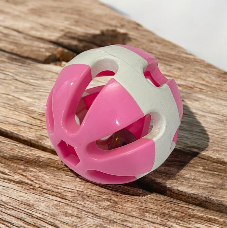 Durable Plastic Bell Toy Ball for Pets | Dog & Cat