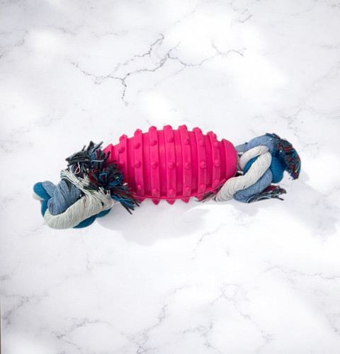 Rugby Ball & Rope Dental Toy for Small & Medium Dogs