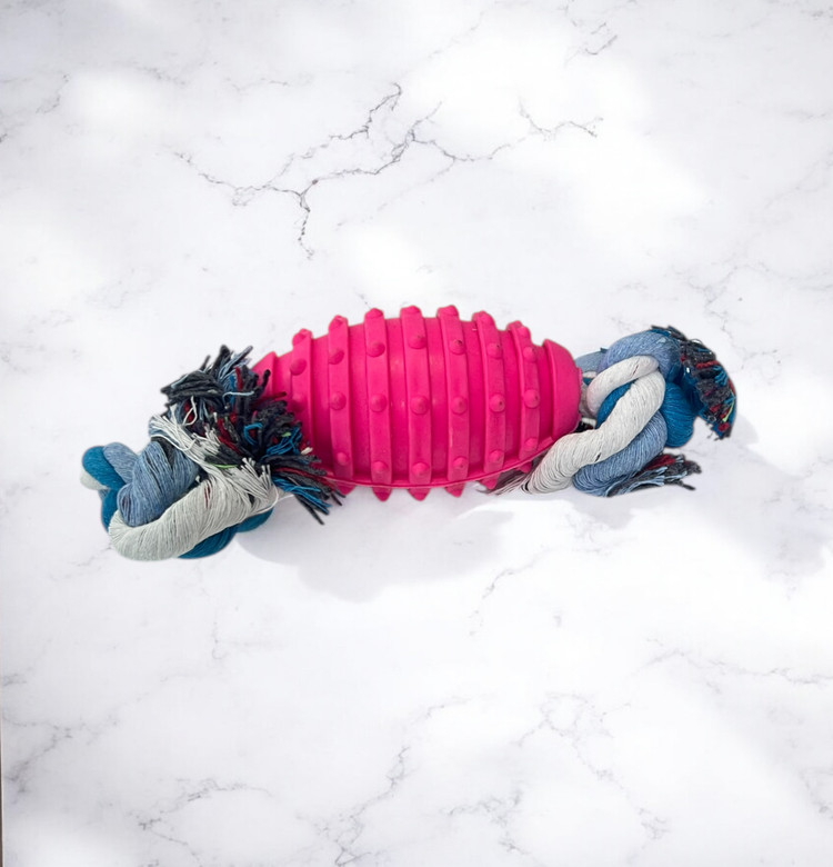 Rugby Ball & Rope Dental Toy for Small & Medium Dogs