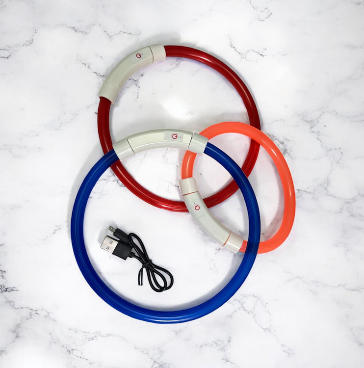 LED Dog Collar for Night Walks