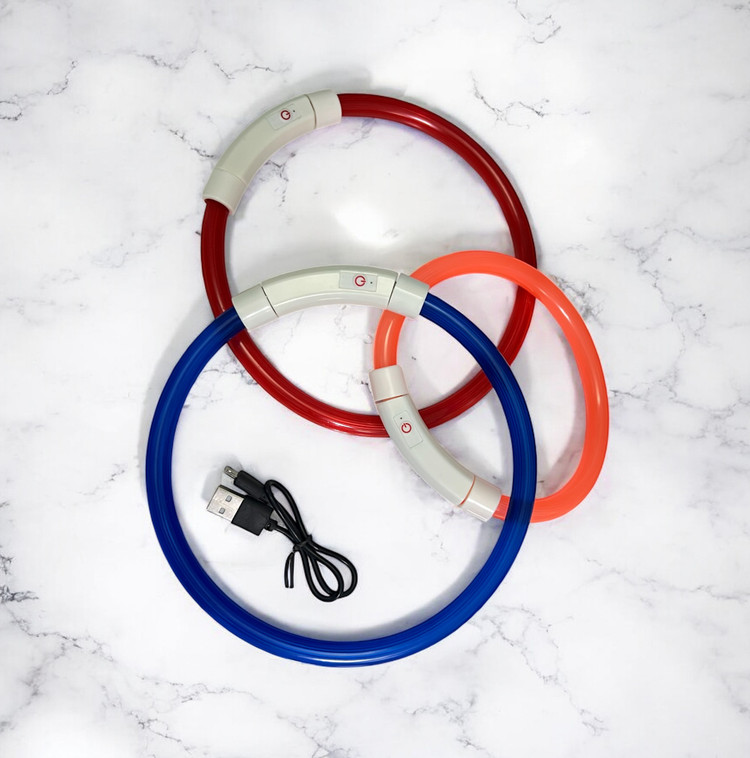 LED Dog Collar for Night Walks