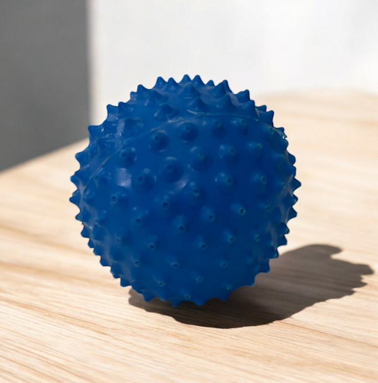 Soft Spiky Latex Ball Toy for Dogs