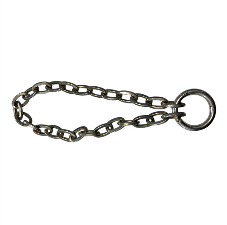 Silver Chain Decorative Collar for Small Dogs