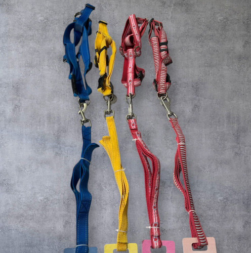 Simple and Printed Canvas Body Harness for Dogs