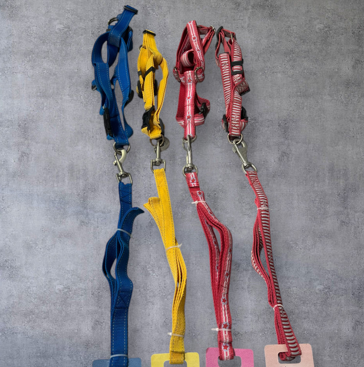 Simple and Printed Canvas Body Harness for Dogs