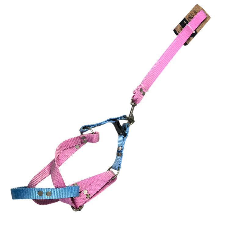 Two-Tone Canvas Vest Harness for Medium Dogs