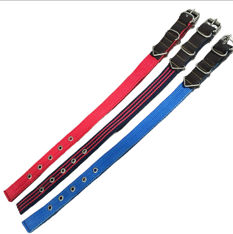 Canvas Dog Collar