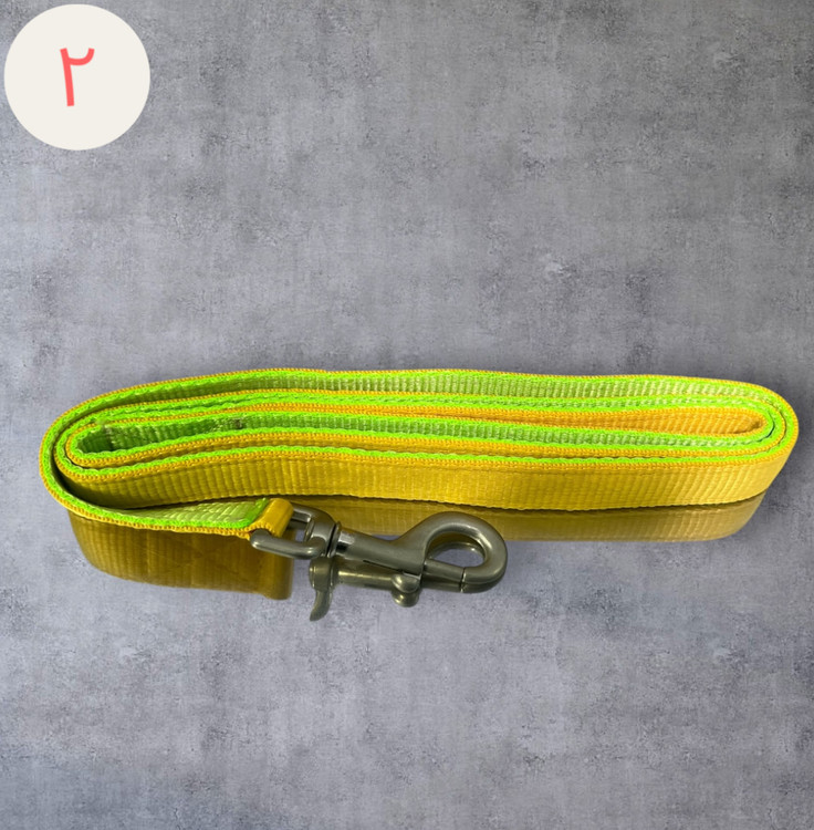 Canvas Dog Leash (Plain & Patterned)