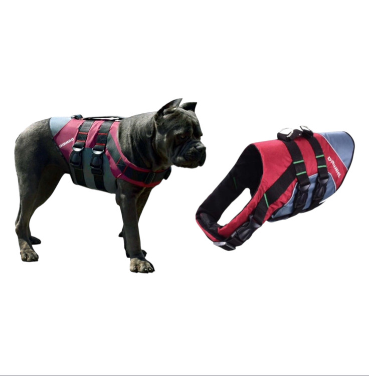 Daniel Brand Canvas Vest Harness for Large Breed Dogs