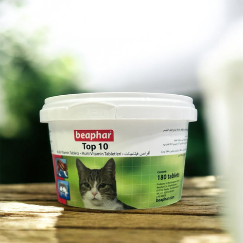 Top Ten Multivitamin Tablets for Cats (All Breeds)