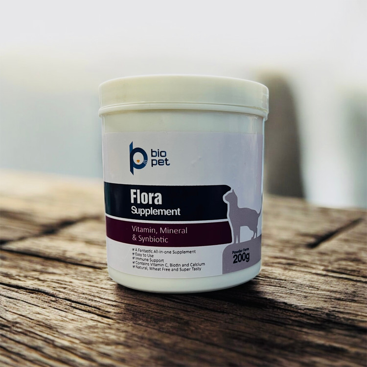 BioPet Synbiotic Powder (Probiotic + Prebiotic) for Cats