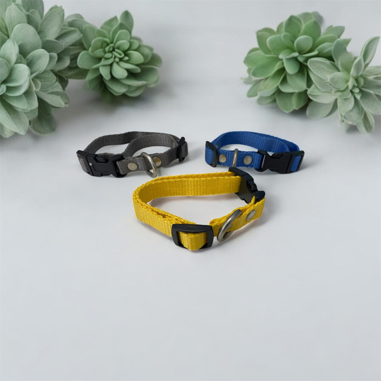 Plain Canvas Dog Collar for Small Breeds