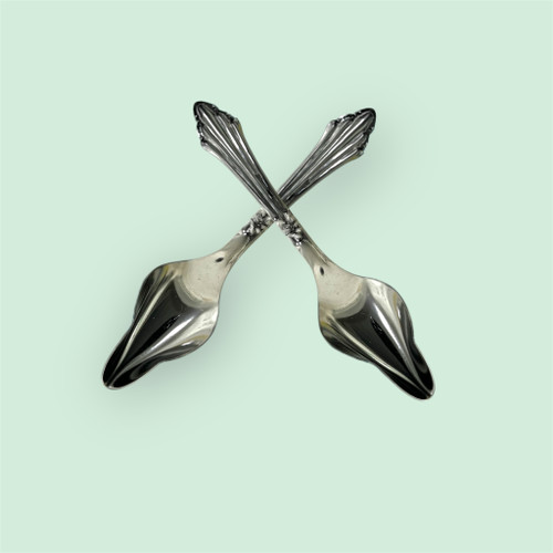 Hand Feeding Spoon for Ornamental Baby Birds