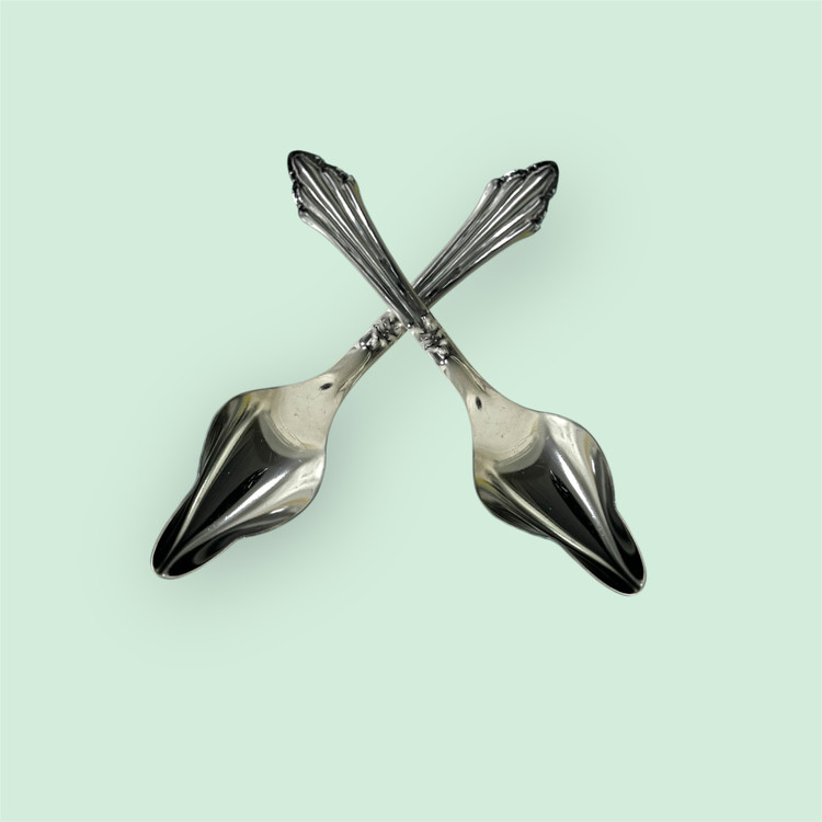 Hand Feeding Spoon for Ornamental Baby Birds