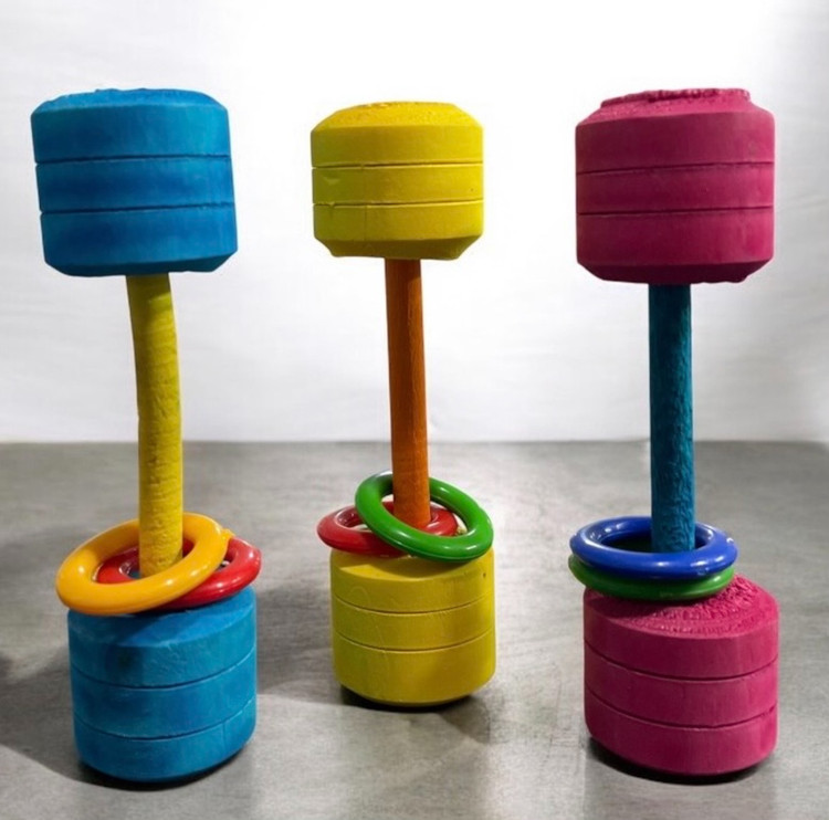 Dumbbell Design Wooden Toy with Plastic Rings for Parrots