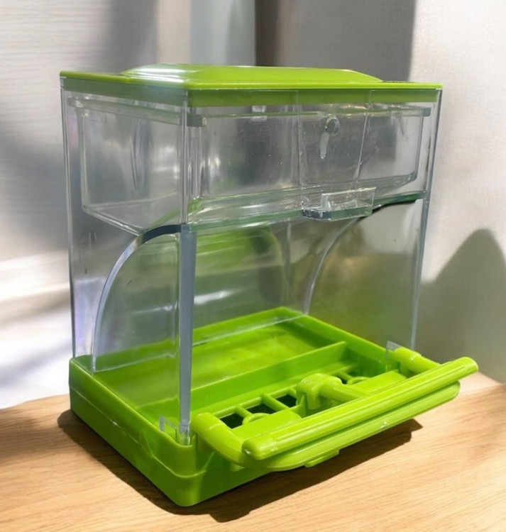 Automatic Transparent Bird Feeder for Small and Medium Birds