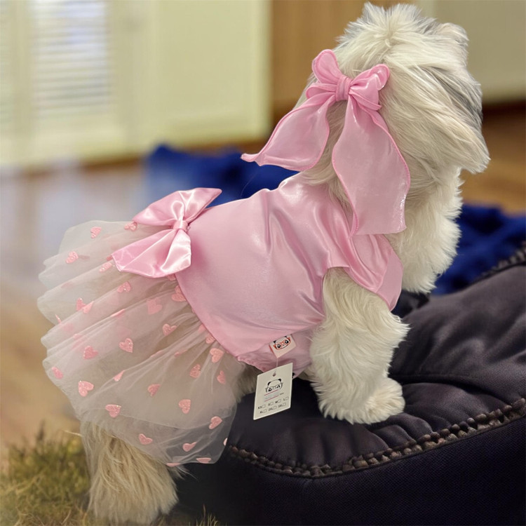 Satin Dress with Lace Skirt for Small Dogs & Cats