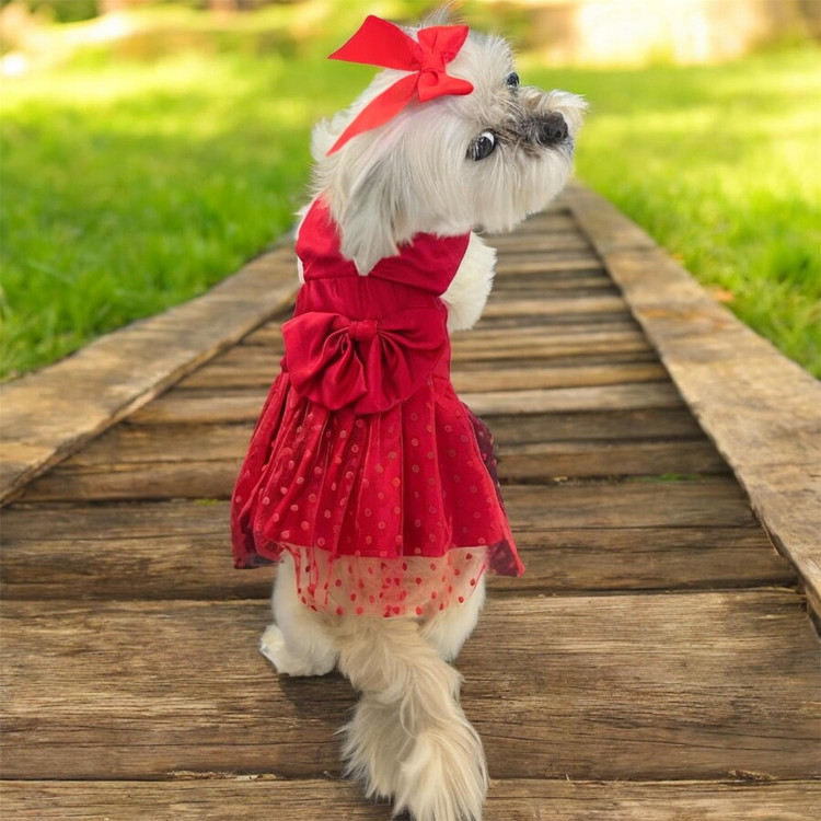 Satin Pinafore Dress with Lace Skirt for Small Dogs & Cats