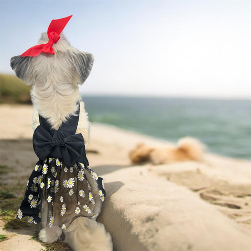 Satin Pinafore Dress with Lace Skirt for Small Dogs