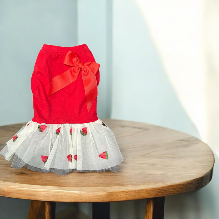 Cotton Dress with Lace Skirt for Small Dogs & Cats