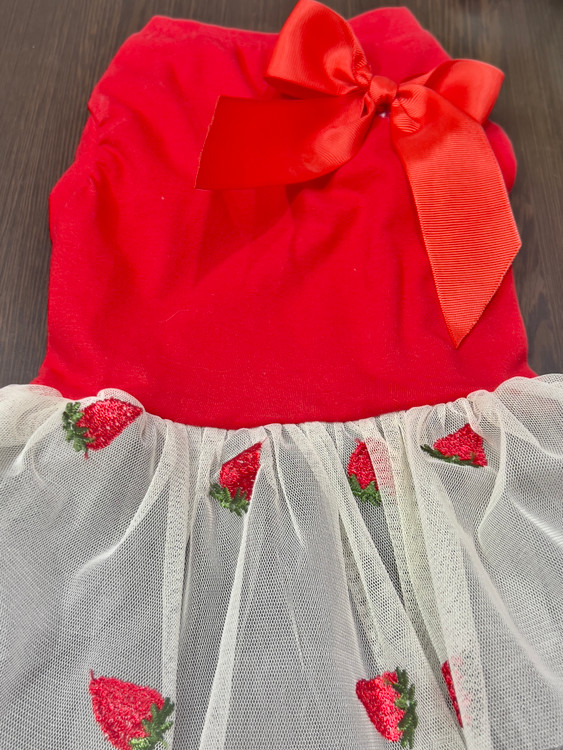 Cotton Dress with Lace Skirt for Small Dogs & Cats