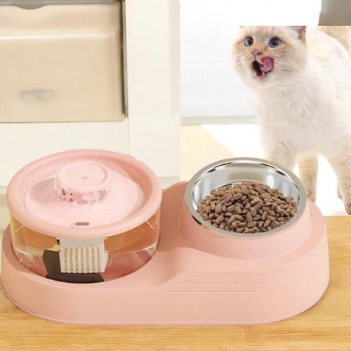 Automatic Pet Water Dispenser & Stainless Steel Food Bowl Set
